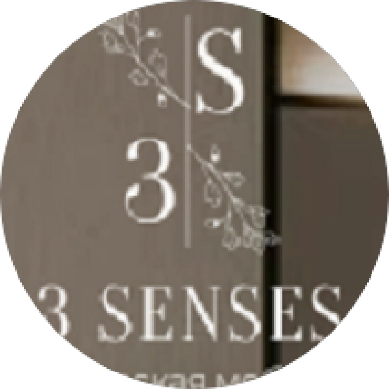 3Senses logo