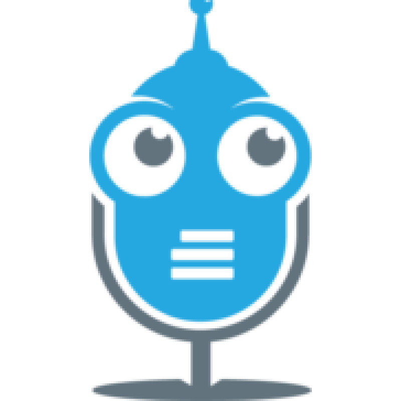 Voicebot.ai logo