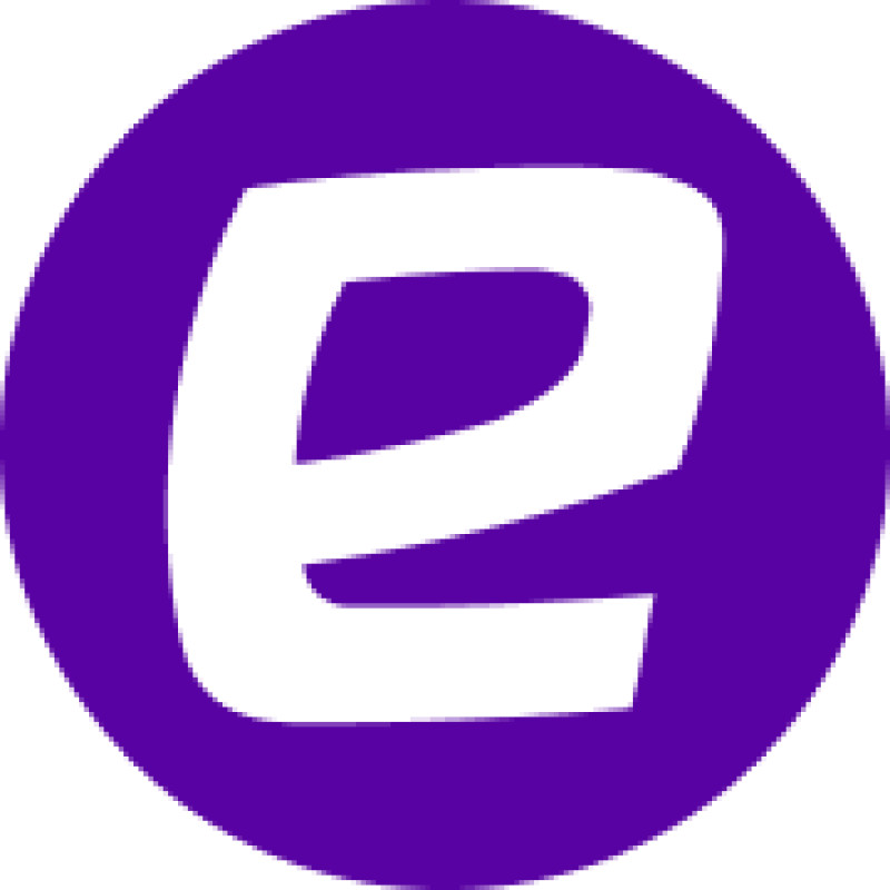 E2E4Online logo