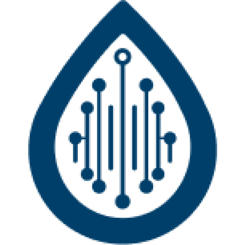 Rainintelligence logo