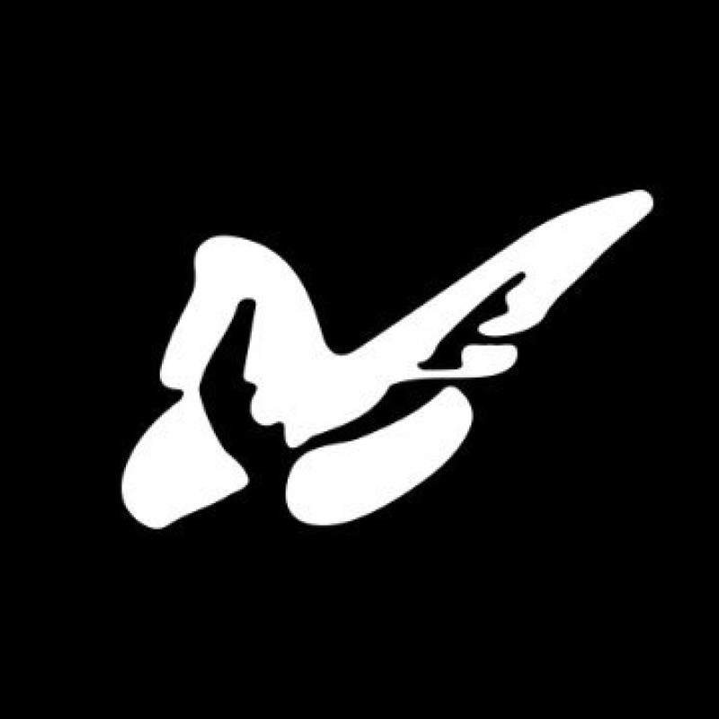 Prime Intellect logo