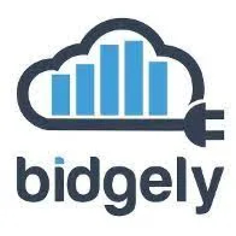 Bidgely logo