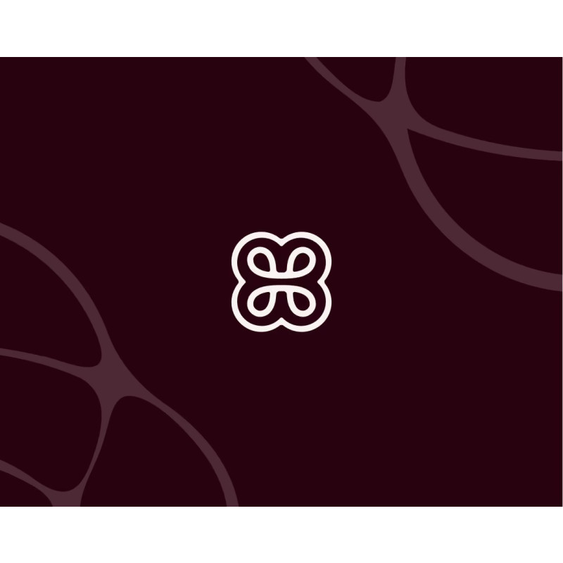 Heidi logo