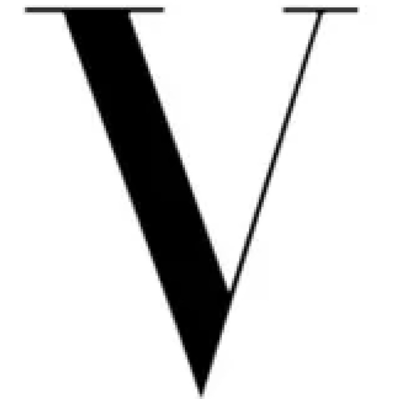 vogue logo