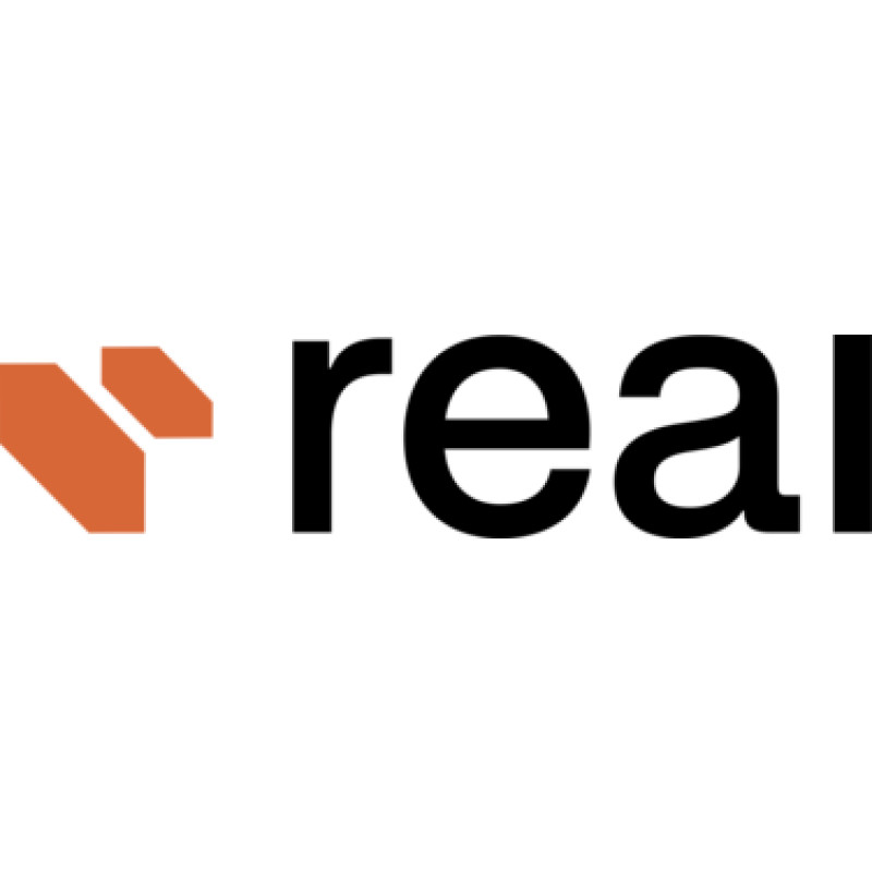 Realdevinc logo