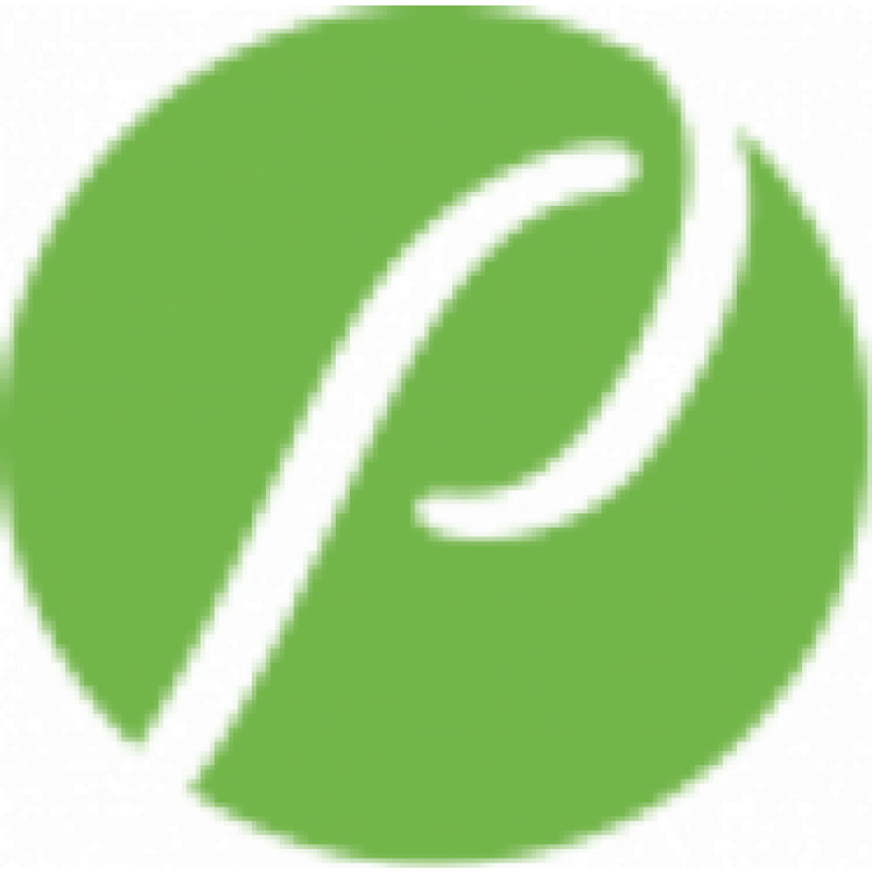Rho logo