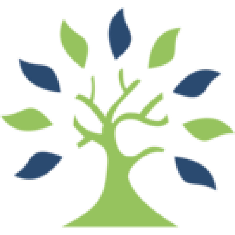 One Park Financial logo