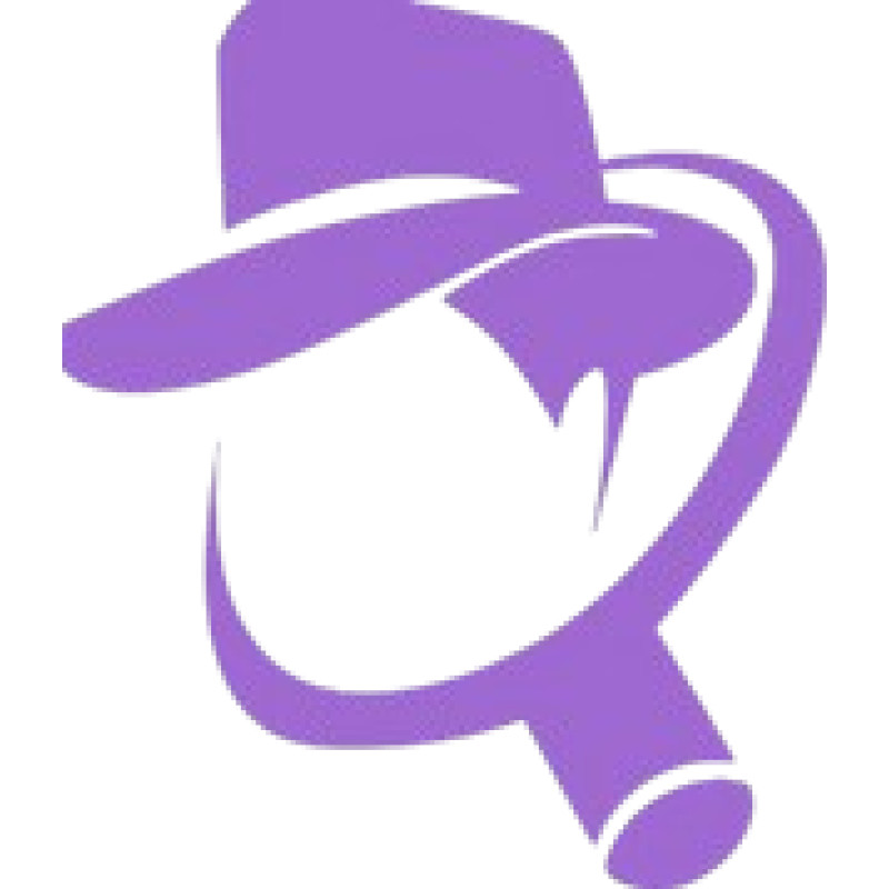 SafetyDetectives logo