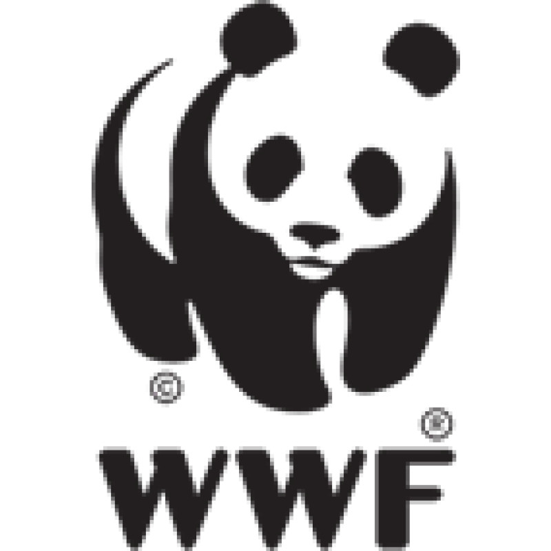 Panda logo