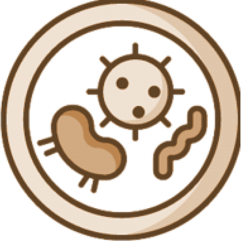 BIOENGINEER.ORG