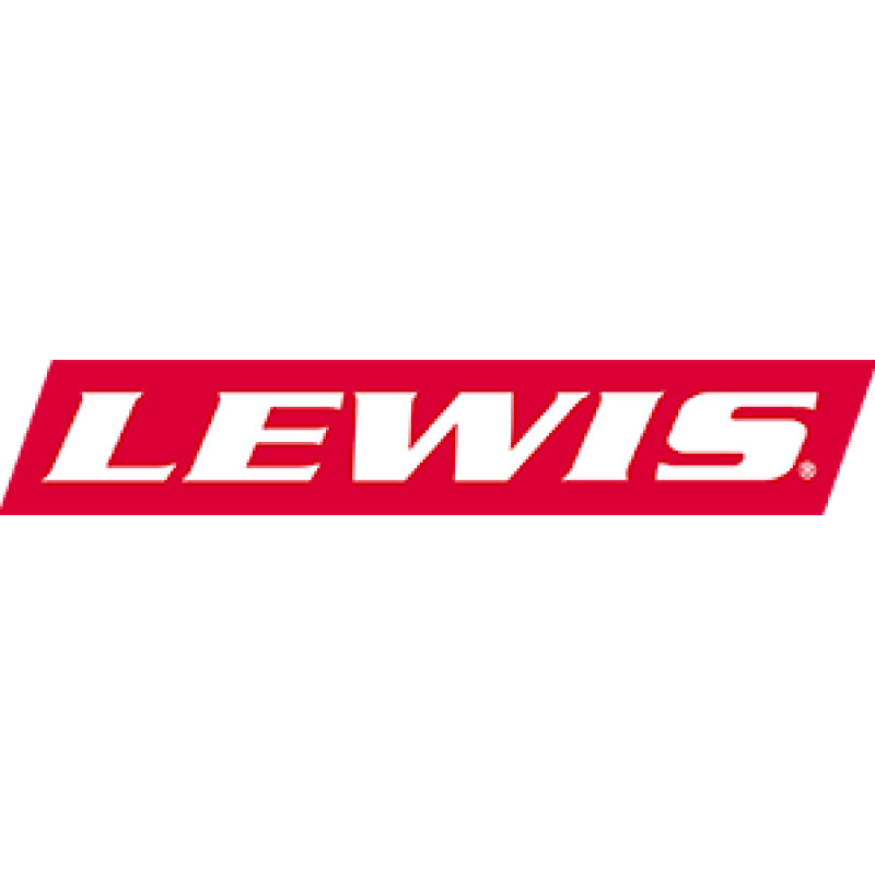 Lewisservices logo