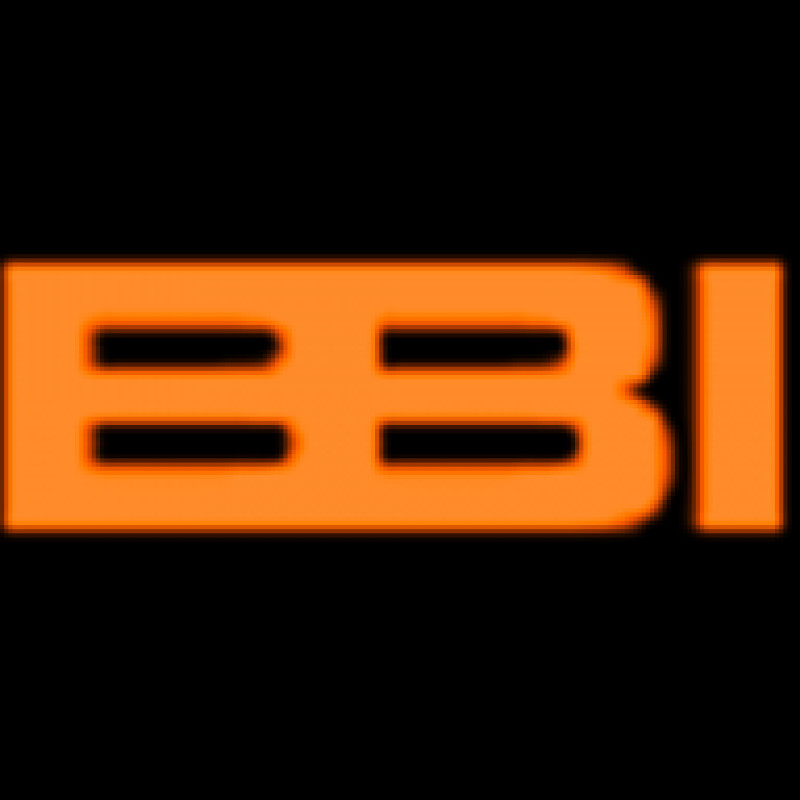 Blackbird Interactive logo