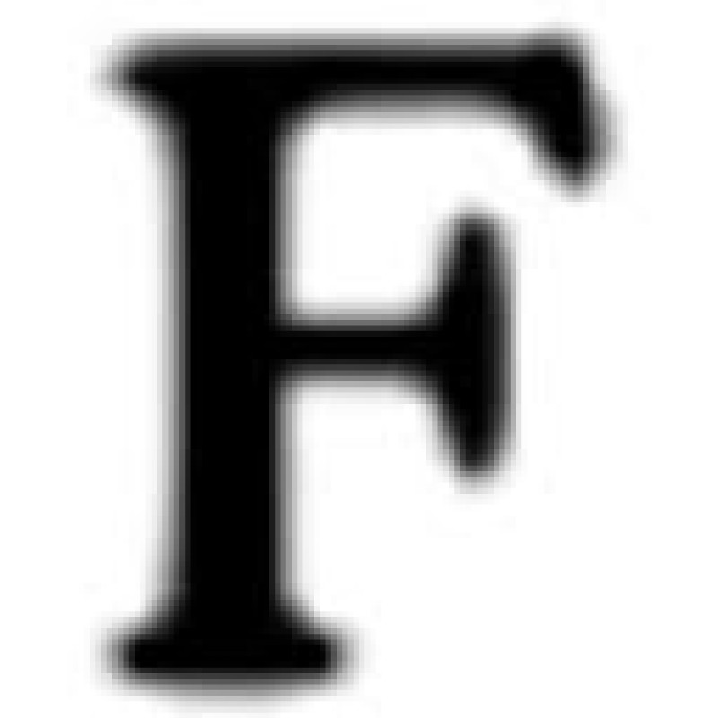 Frontier logo