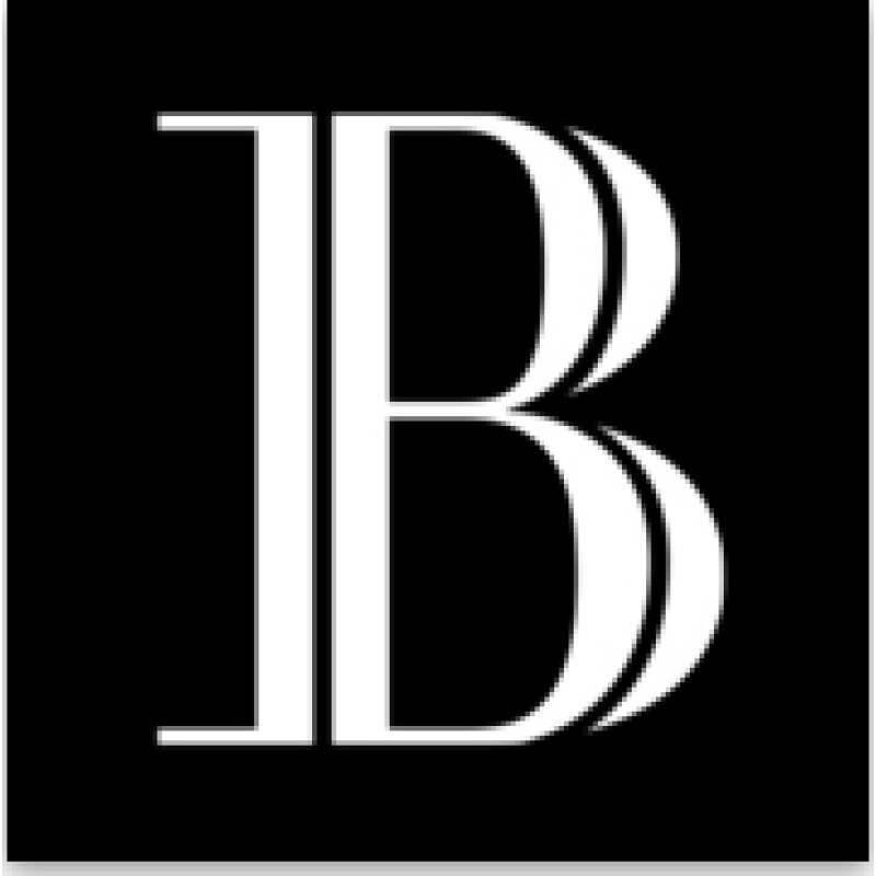 BFM.ru logo