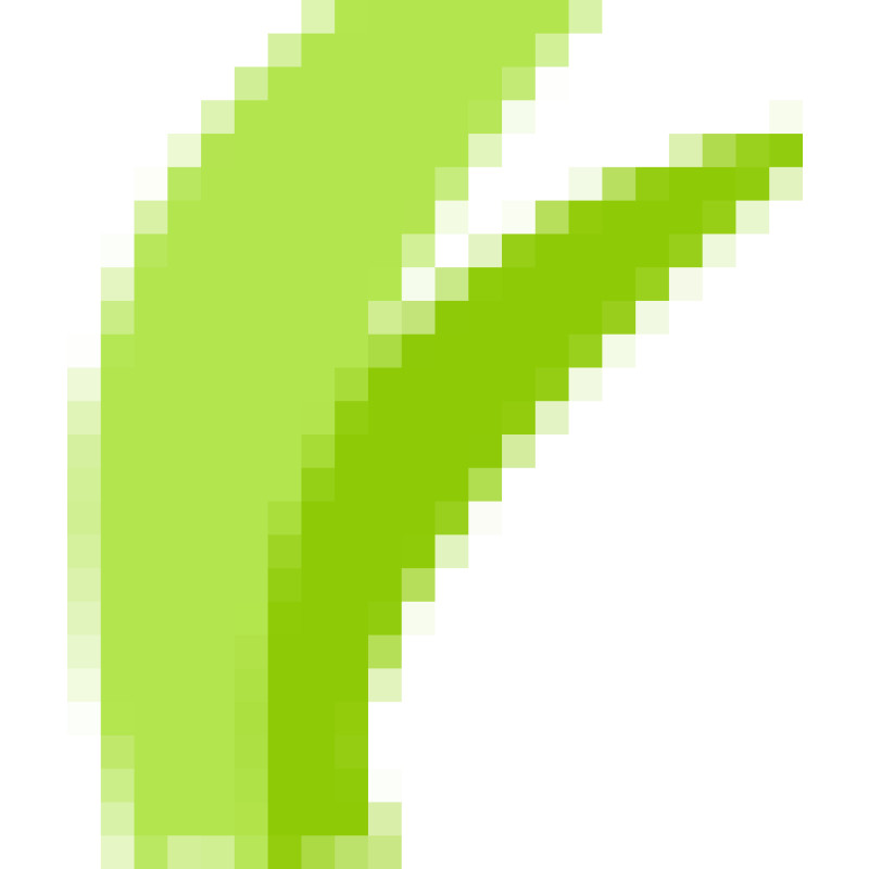 Tor Project Forum logo