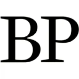 Business Punk logo