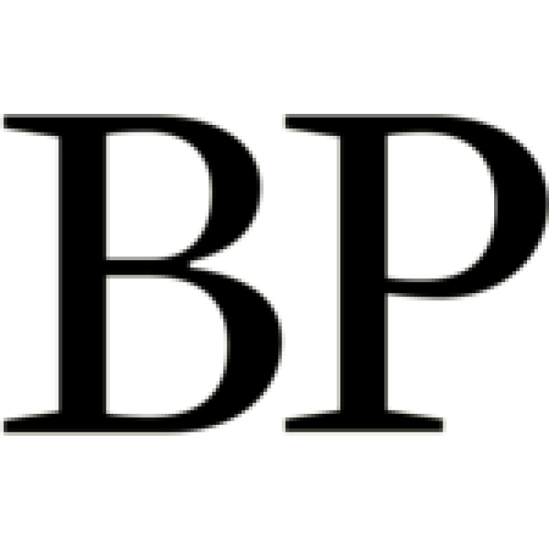 Business Punk logo