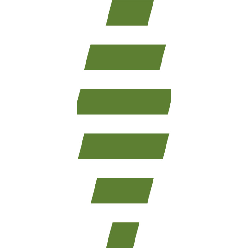 Kavak