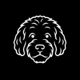Lake8 logo