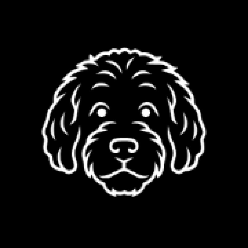 Lake8 logo