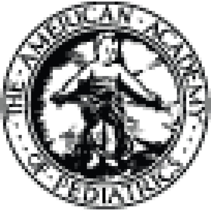 Aap logo