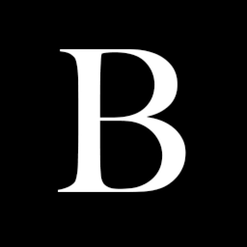 brief.bismarckanalysis.com
