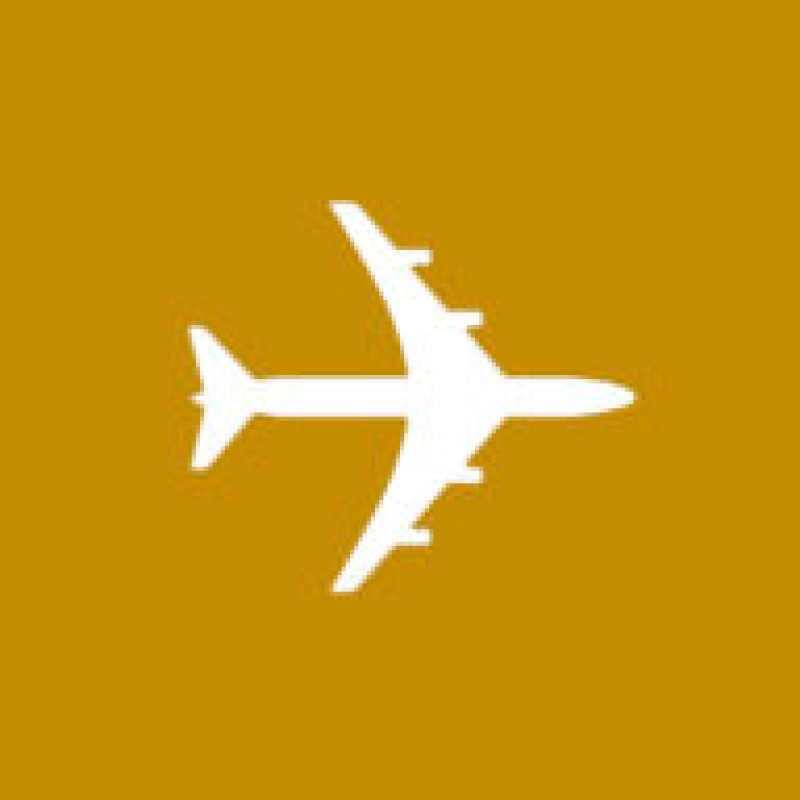 Live and Let's Fly logo