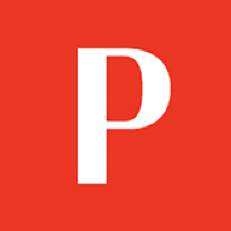 PUNCH logo