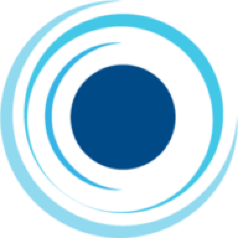 Bluesight logo