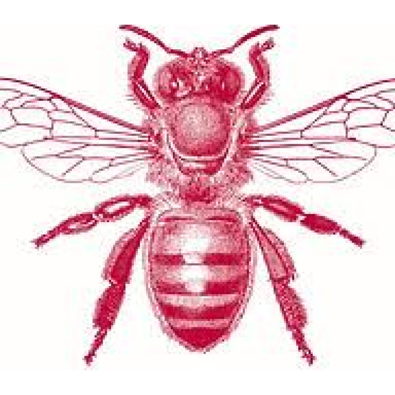 Redbee logo