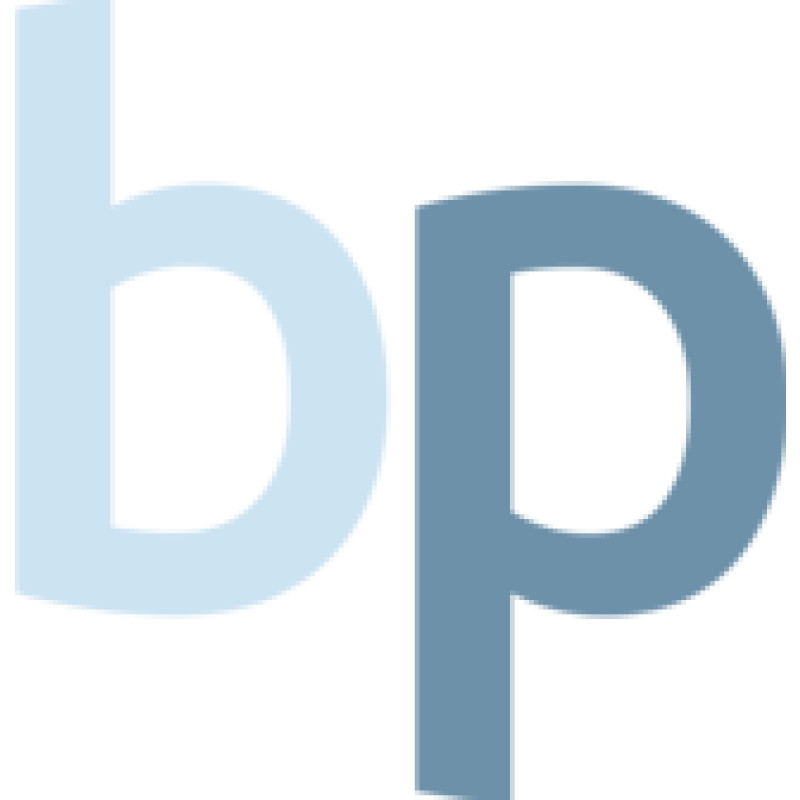 Benny Powers, Web Developer