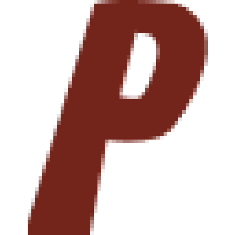 BSK-Rinako logo