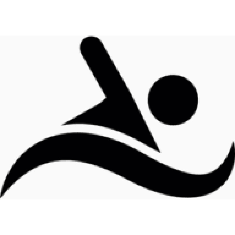 Dailynewsofopenwaterswimming logo