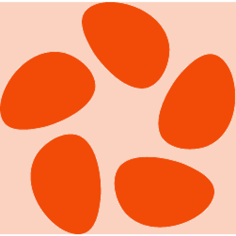Zencoder logo