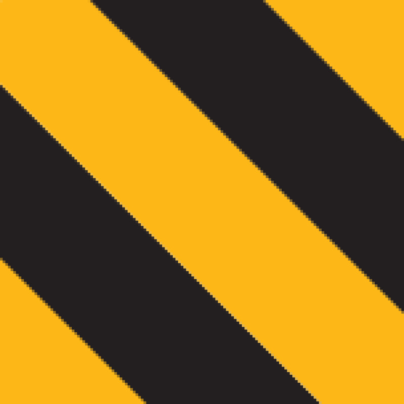 ISHNmag logo