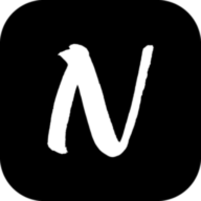 Nuna logo