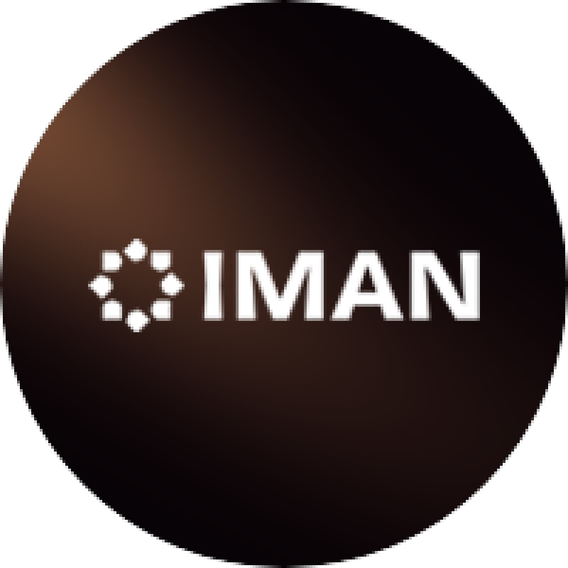 IMAN CAPITAL LTD logo