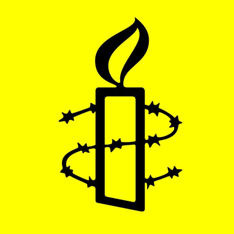Amnesty International Security Lab logo