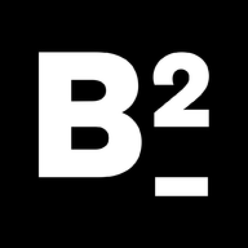 thebizofbiz logo