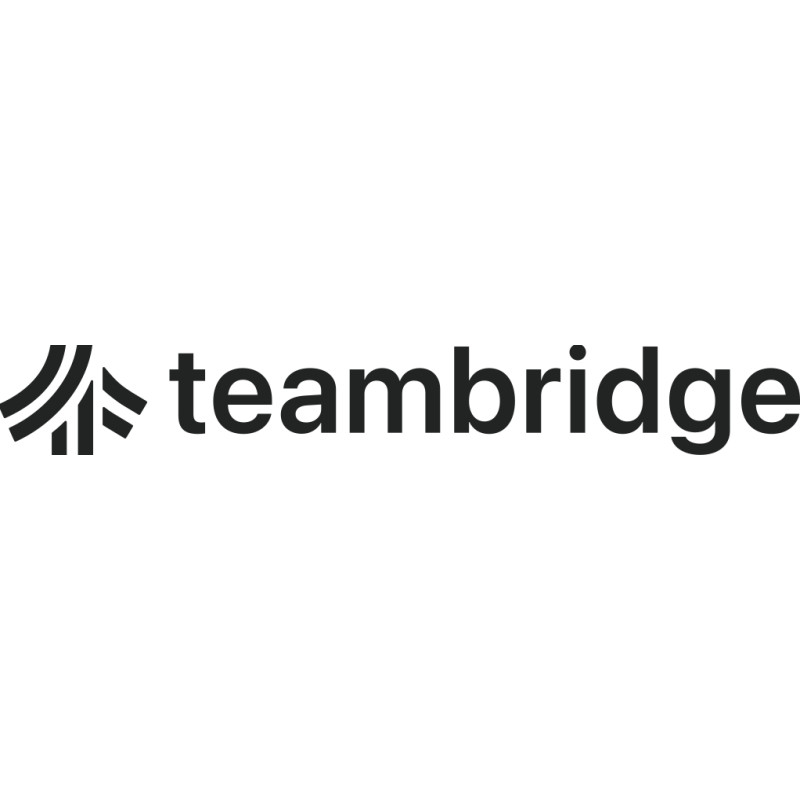 TeamBridge logo