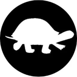 Turtle Techies logo