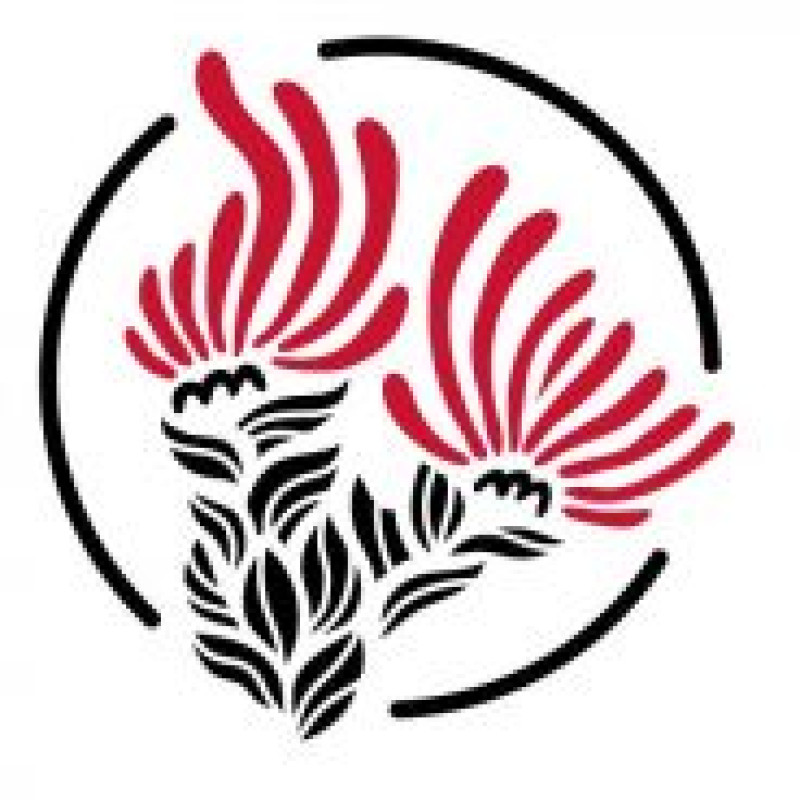 Love Big Island logo