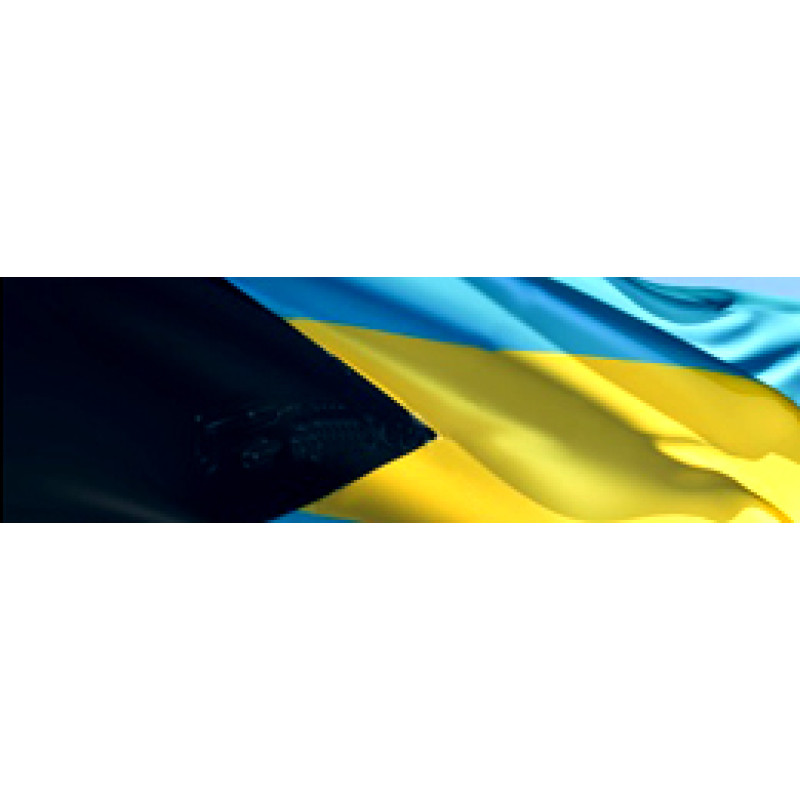 Tribune242 logo