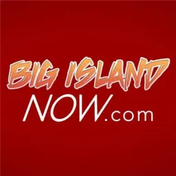 Bigislandnow logo