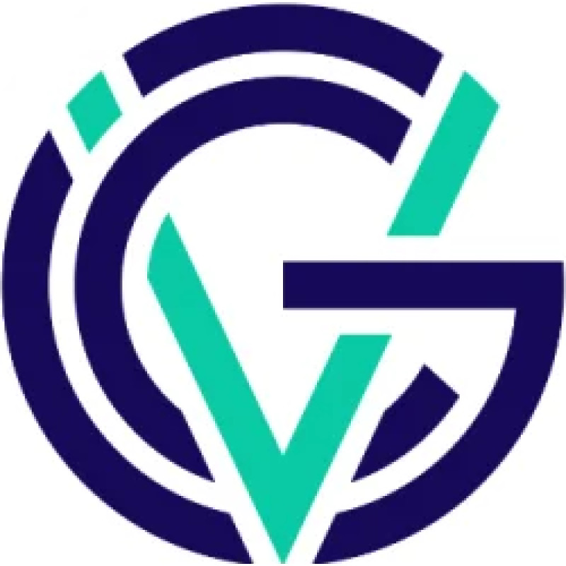 Global Venturing