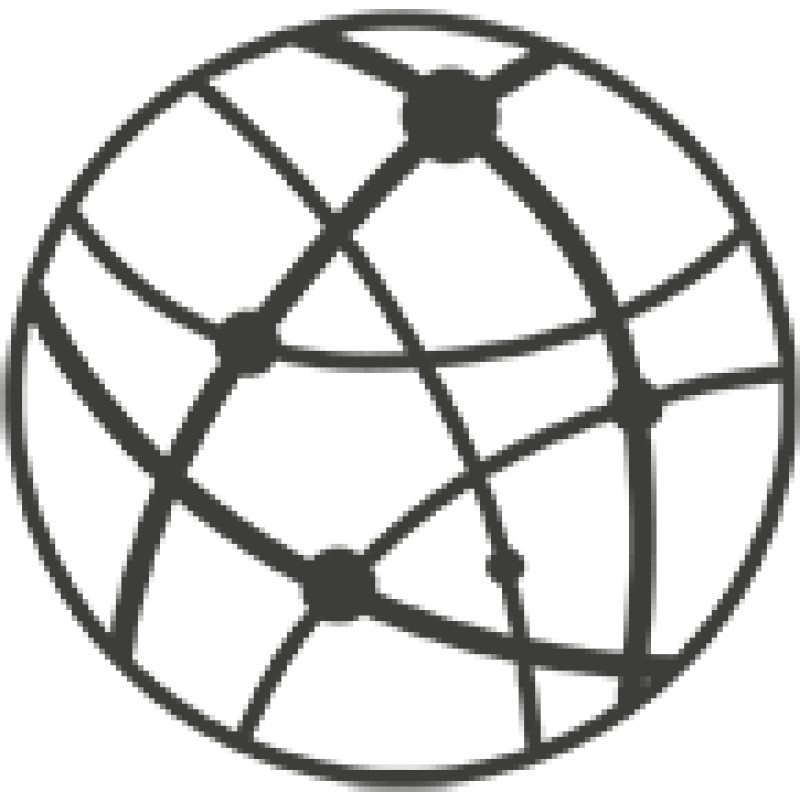ConstitutionNet