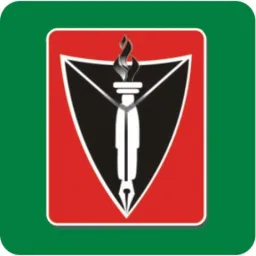 The Nation Newspaper logo