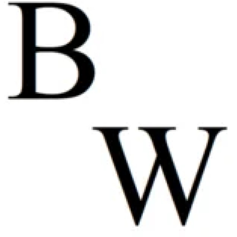 dispatch.bazaarofwar.com
