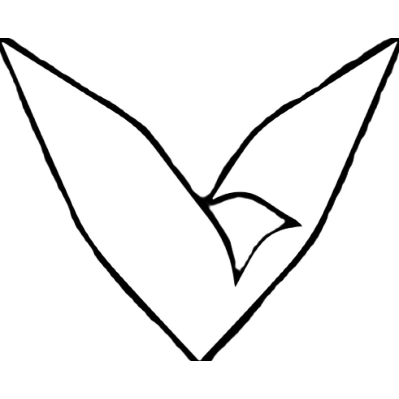 Volerion