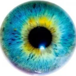 Eye Of The Psychic logo
